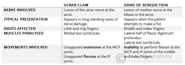 Table 1.0 - Differences between the ulnar claw and hand of benediction