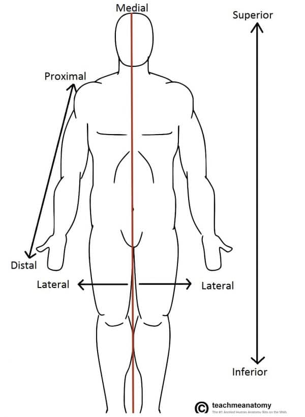 Body Location Chart
