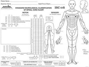 Dermatomes