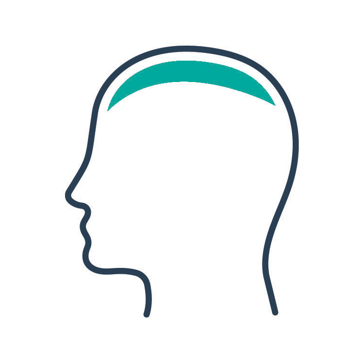 Anatomy Of The Human Head - TeachMeAnatomy