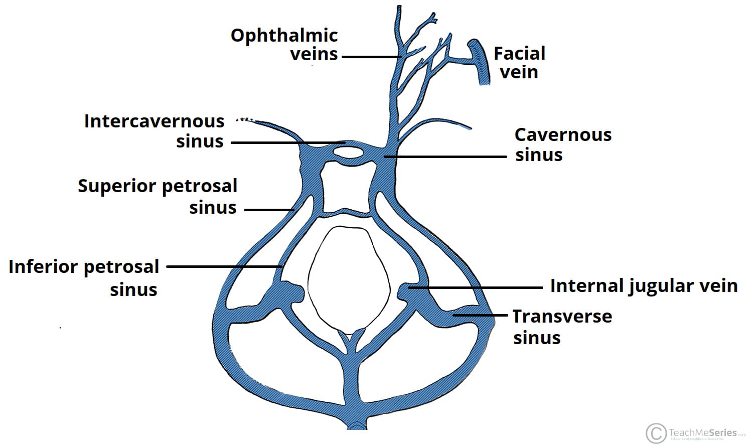 The Cavernous Sinus - Contents - Borders - Thrombosis - TeachMeAnatomy