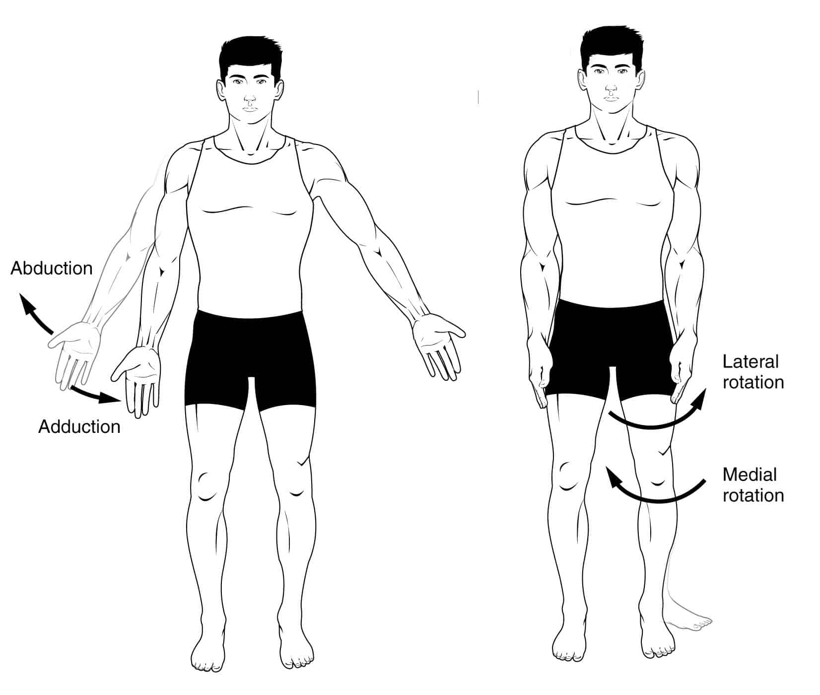 Pronation Supination Medical Term Hand Movement Outline Diagram