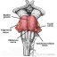Define Pons Brainstem Anatomy | Midbrain, Pons and Medulla – TeachMeAnatomy